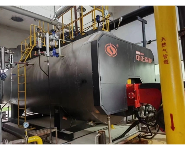 一半天药业WNS10-1.25-Q天然气低氮锅炉